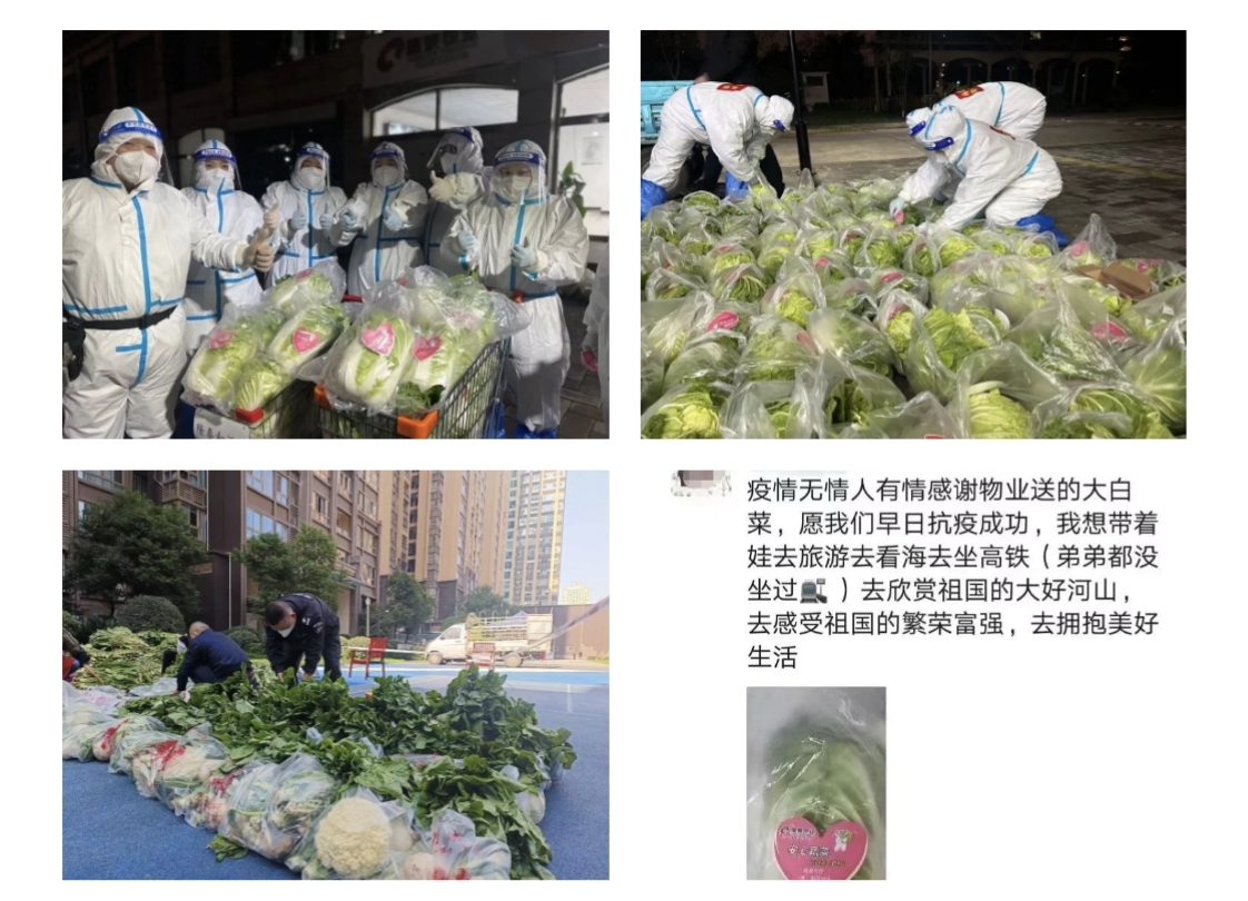 愛就一個字，我們對你說N次...(圖5)