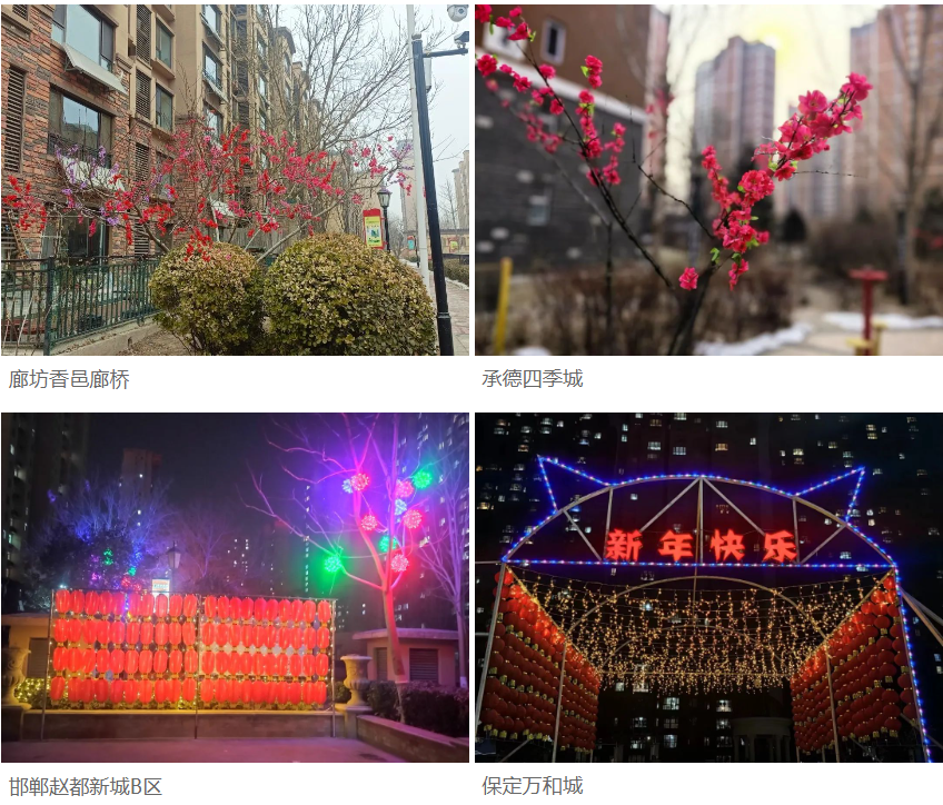 節(jié)前安全大檢查，隆泰物業(yè)為您保駕護航(圖6)