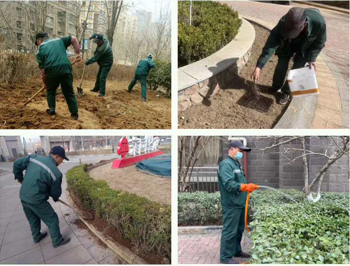 春雷行動(dòng) | 煥新春天，約你來見~(圖6)